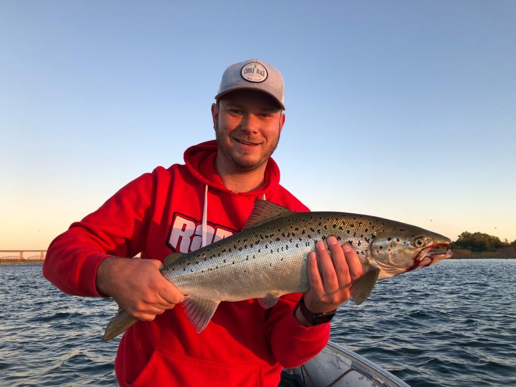 Picture perfect specimen of an Atlantic Salmon caught out in the Redwood Sportfishing Boat!