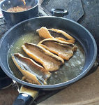 Excellent shore lunch of freshly caught Brook Trout (Brook Trout Package)